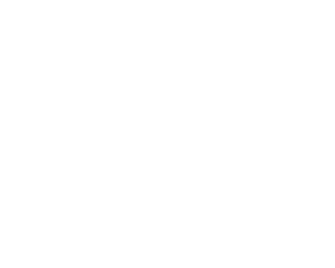 Logo Cannes 2024 Camera d'or